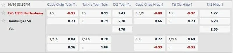 Bảng tỷ lệ kèo trận Hoffenheim vs Hamburger SV